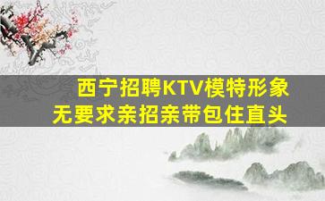 西宁招聘KTV模特形象无要求亲招亲带包住直头